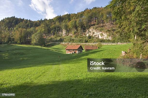 La Valle Alpine - Fotografie stock e altre immagini di Acqua - Acqua, Albero, Alpi