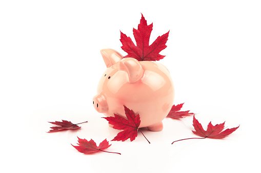 Piggy bank with maple leaves isolated on a white background