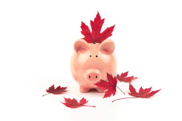 Piggy bank with maple leaves isolated on a white background
