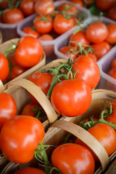 istock Farmer's market produce 179647555