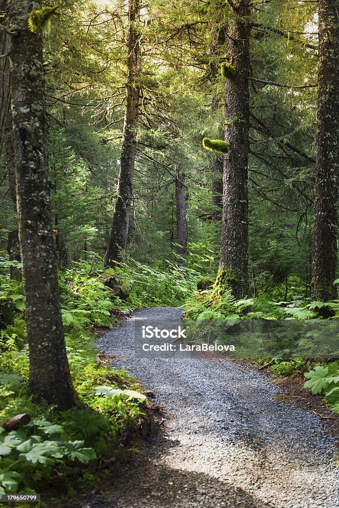Tundra floresta - Royalty-free Alasca Foto de stock