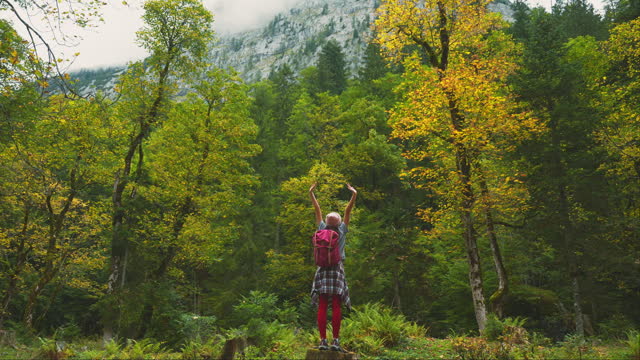 Cheerful woman  hiking in the forest in autumn  and looking at scenic landscape with awe