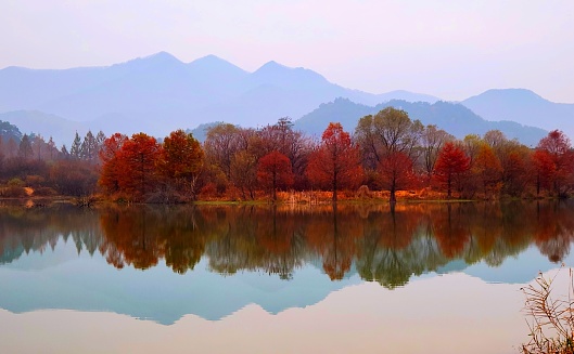 Autumn Reflection Borcka Artvin Turkey