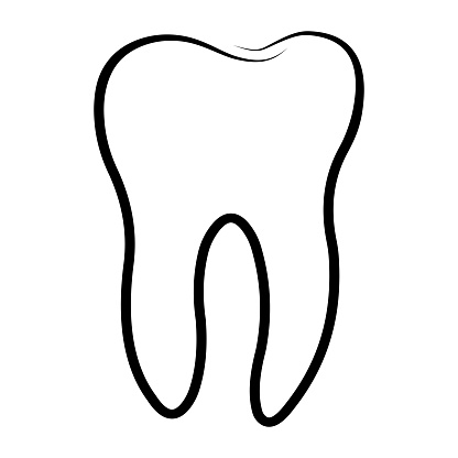 Molar teeth, dental clinic logo wisdom tooth outlines template