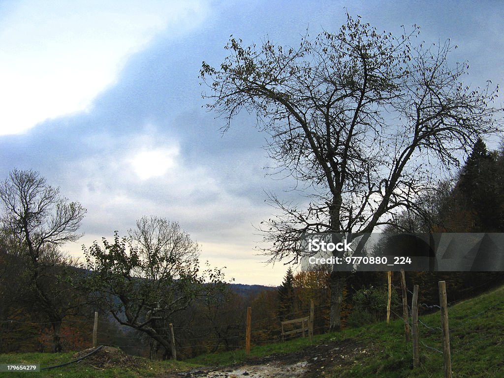 Crepúsculo hora de montanha na Suíça - Royalty-free Abeto Foto de stock