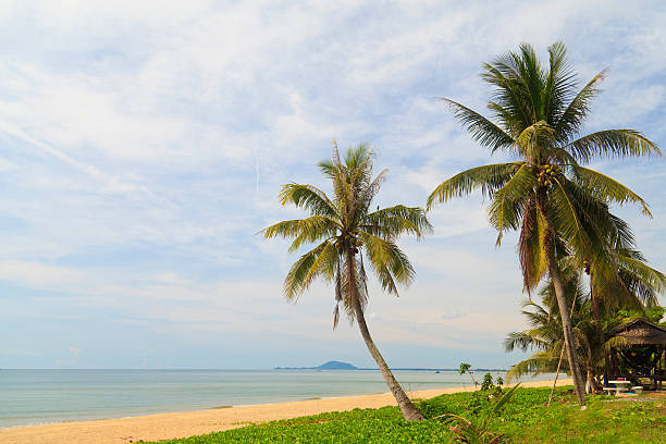 istock Beautiful tropical beach in Thailand 179656004