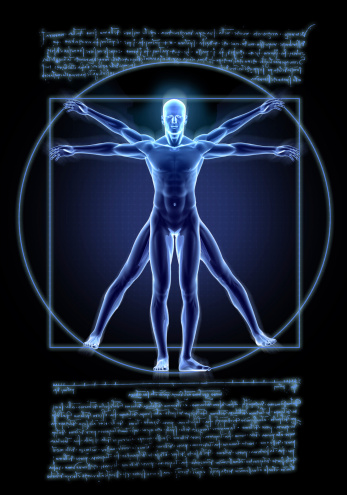 Human body. Human model rotation. Bioengineering and medical technology concept.