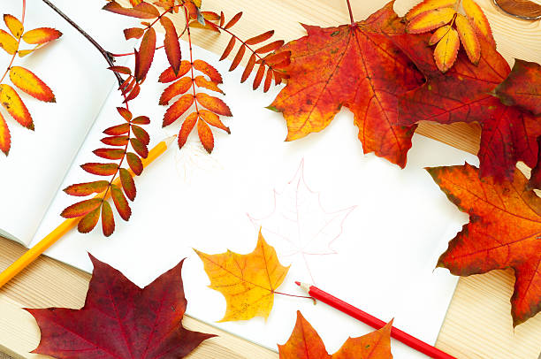 istock Autumn leaves of maple and colored pencil 179657210