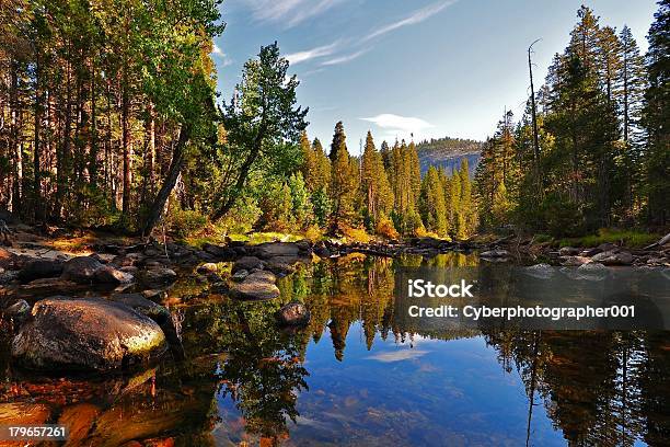 Scenery Of Lake Stock Photo - Download Image Now - Beauty, Beauty In Nature, Forest