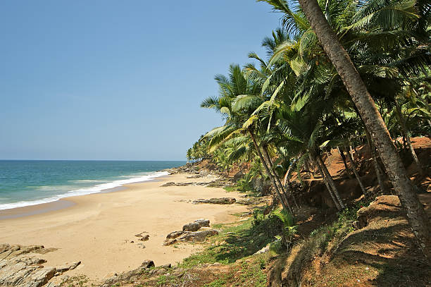 istock Coconut palms on the ocean shore 179657279