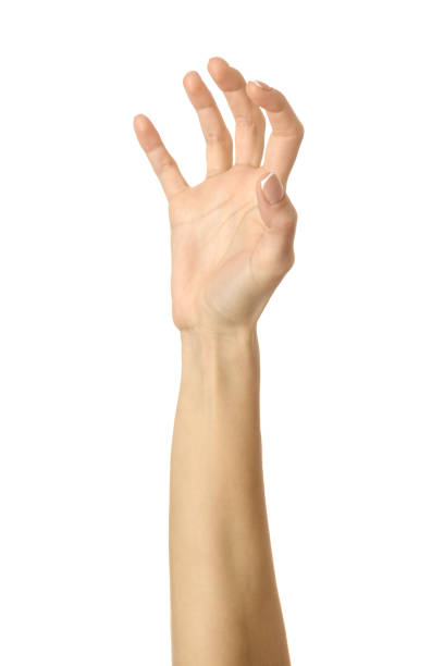 istock Pulling, grabbing, reaching or scratching. Woman hand gesturing isolated on white 1796587202