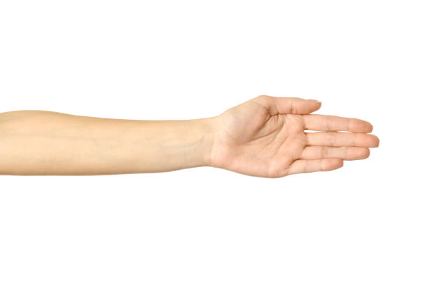 Giving hand for handshake. Woman hand gesturing isolated on white