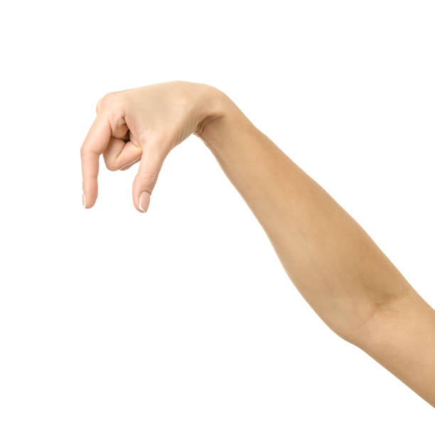 istock Hand picking, holding, grabbing or reaching. Woman hand gesturing isolated on white 1796587355