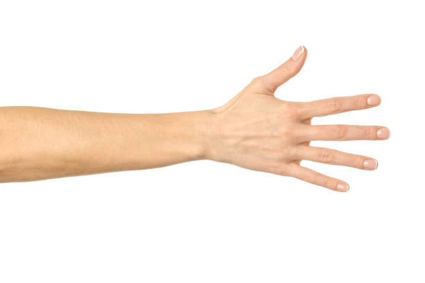 istock Reaching hand. Woman hand gesturing isolated on white 1796587854