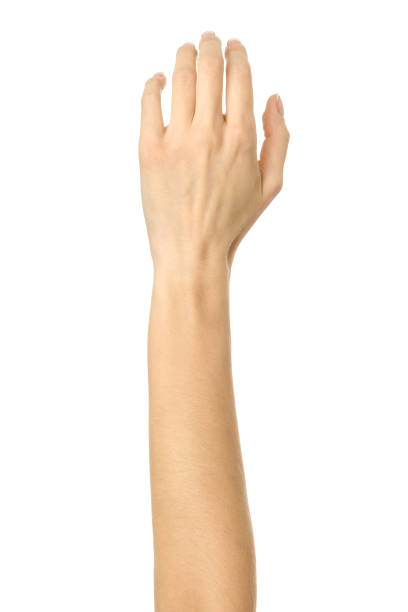 istock Raised hand voting or reaching. Woman hand gesturing isolated on white 1796587885