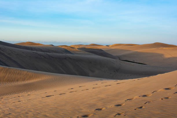 istock Sand dunes of Maspalomas on Gran Canaria in Spain 1796600149