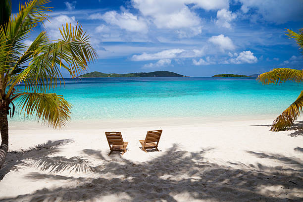 istock chairs between palm trees on a Virgin Islands beach 179660029