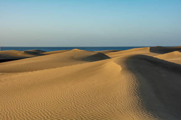 istock Sand dunes with a view to the sea 1796601794
