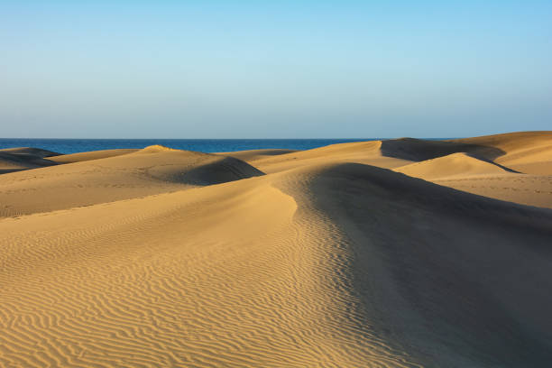 istock Sand dunes with a view to the sea 1796601873