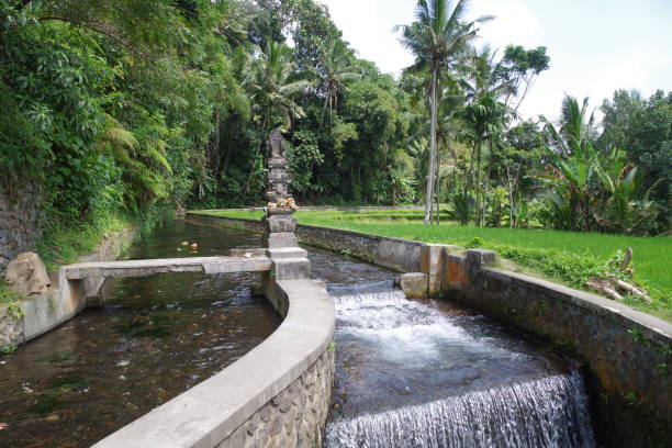 istock Mount kawi in Bali 1796611864