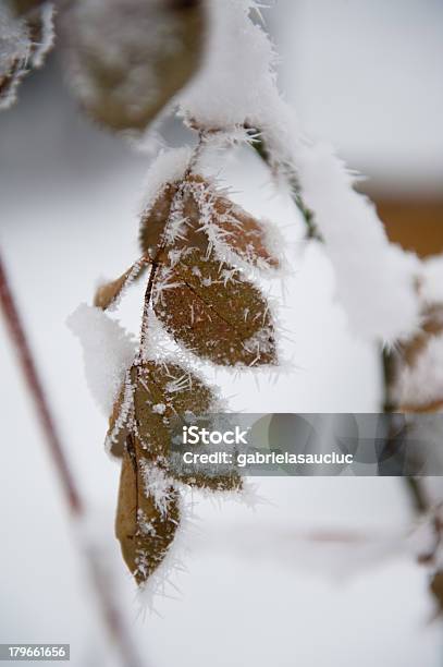 De Invierno Foto de stock y más banco de imágenes de Aire libre - Aire libre, Aldea, Belleza