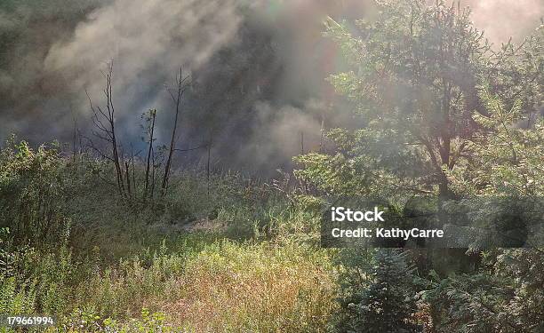 Misty Cores Do Rio - Fotografias de stock e mais imagens de Alegria - Alegria, Ao Ar Livre, Aura