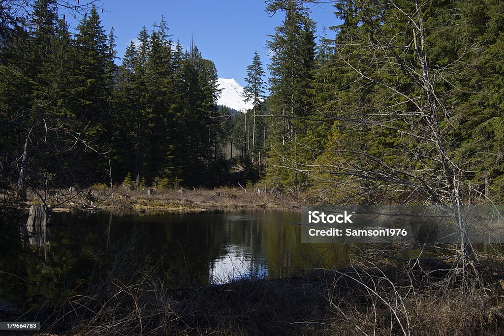 Mt. Baker espelho Pond - Foto de stock de Parque Nacional do Monte Baker royalty-free