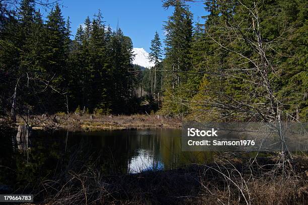 Foto de Mt Baker Espelho Pond e mais fotos de stock de Parque Nacional do Monte Baker - Parque Nacional do Monte Baker, Animal selvagem, Estado de Washington