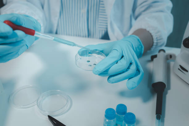 istock One of the laboratories where experiments are being conducted, A science experiment is being conducted in the laboratory, Scientist is experimenting with chemicals in the laboratory, 1796661309