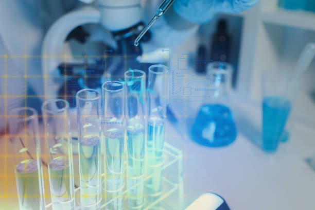 istock Chemist is chemically analyzing test tubes, Scientist is experimenting with chemicals in the laboratory, Chemist is separating compounds in test tubes with chemical reagents, 1796665397