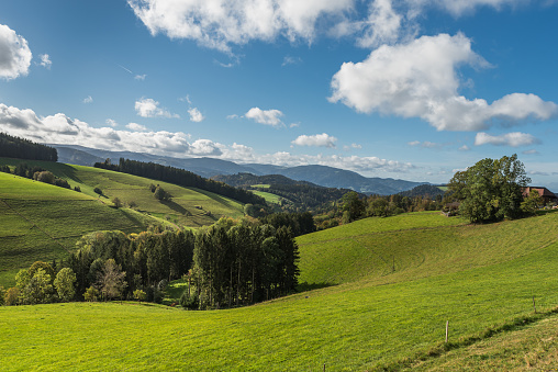 A beautiful alpine field in southern Germany. Grass in the foreground with distant woods and summit. Landscape.