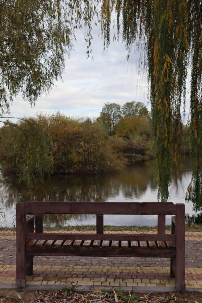 istock The bench oppsite lake. Idyllic place at autumn. 1796697216