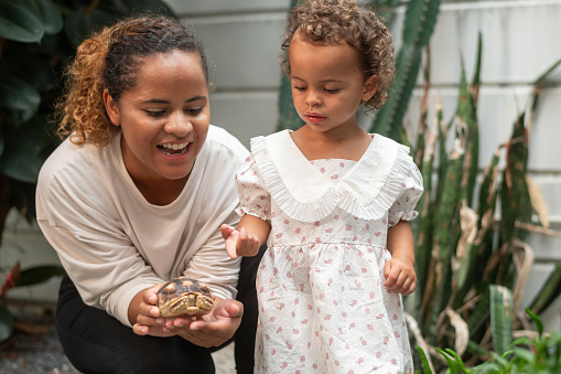 African American mother holding turtle on  her hand showing to a  girl in garden