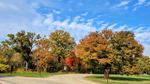 istock Autumn Tree Lined Road in Mount Vernon, Virginia 1796705550