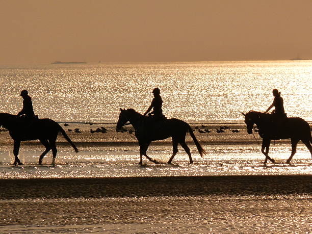 istock Horses in sunset at the sea 179671499