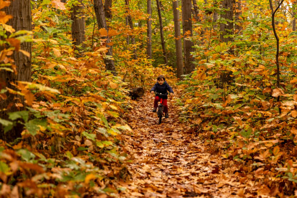 istock Little boy riding bike along forest trail 1796722405