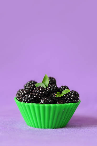 Moras - foto de stock