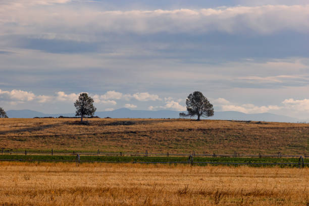 istock Agriculture fields in south eastern Oregon, USA, 1796724557