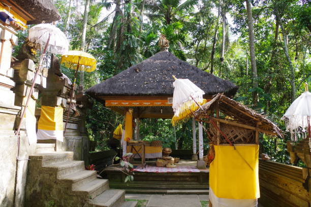 istock Goa Gajah in Bali 1796733578