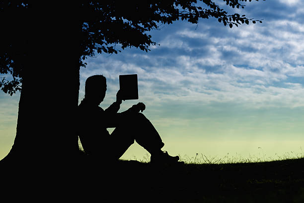 istock Man silhouette sitting under tree taking photo with tablet outdoor 179675397