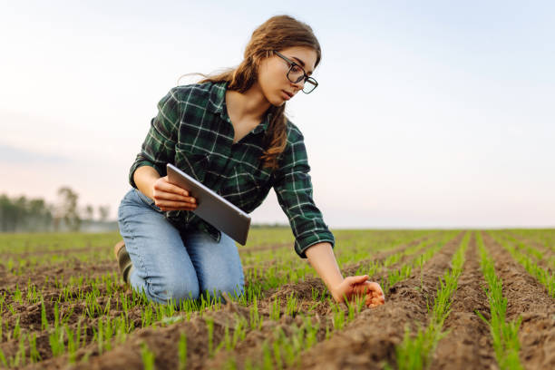 istock A woman agronomist examines new sprouted shoots in the field using a digital tablet. 1796771748