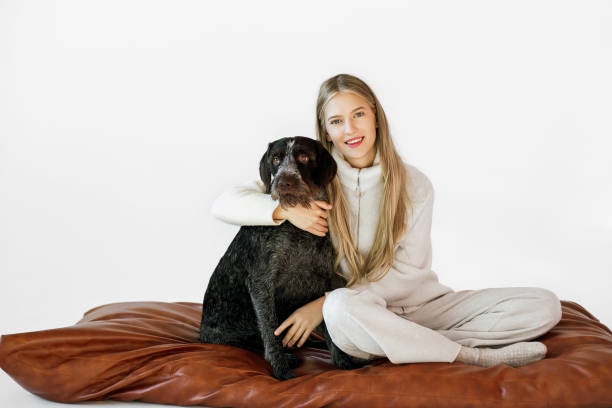 istock Young woman with her cute drathaar in armchair 1796777534