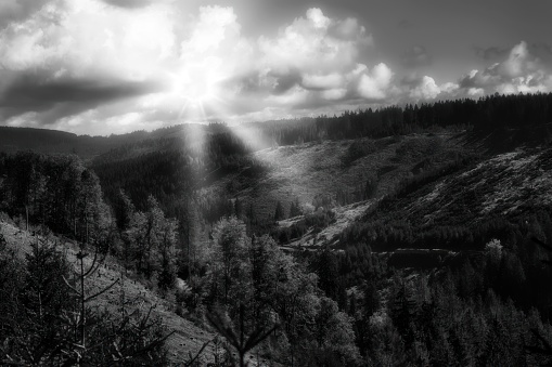the Thuringian Forest in black and white