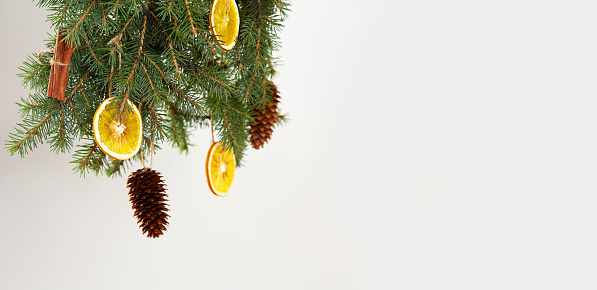 Dried orange slices and cinnamon sticks are hanging on the spruce branches with eco-friendly organic Christmas decor. DIY ornaments, zero waste concept. Banner, copy space