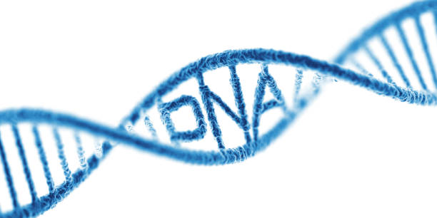 istock DNA. Isolated On The White Background Wide 1796821275