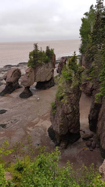 istock Bay of Fundy 1796821832