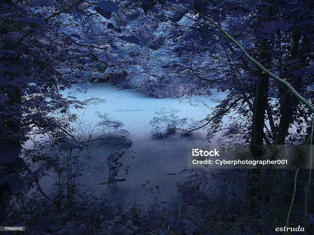 winter night Moon is spreading light in night. Beauty Stock Photo