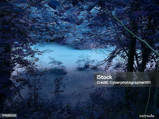 Winter Night Stock Photo - Download Image Now - Beauty, Beauty In Nature, Forest