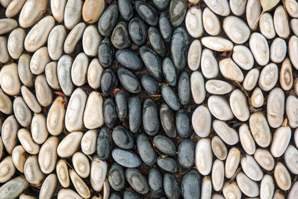 istock Background of round smooth stones, pebbles and shell rock 1796825606