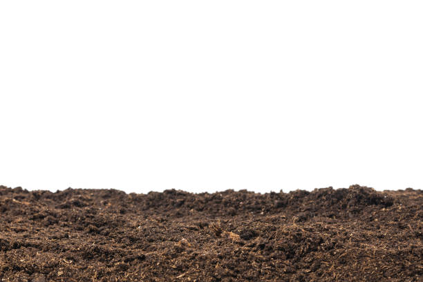 istock Soil for plant isolated on white background. 1796827232